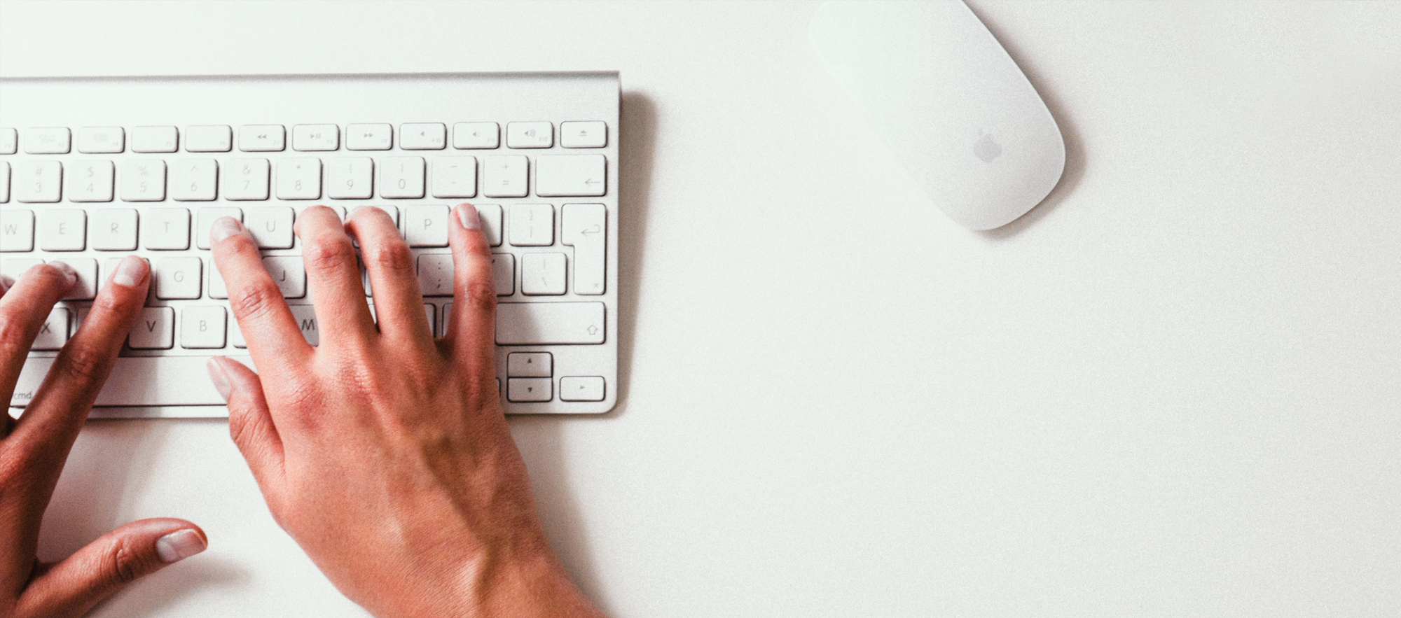 Dissertation typing services